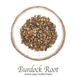 Burdock Root Organic - The Herb Temple