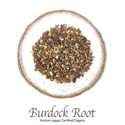 Burdock Root Organic - The Herb Temple