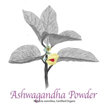 Ashwagandha Powder Organic - The Herb Temple