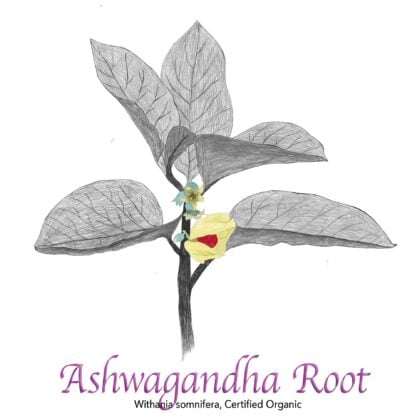Ashwagandha Root Organic - The Herb Temple