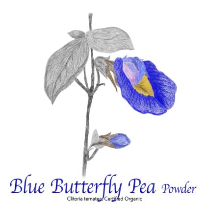 Blue Butterfly Pea Flower Powder Organic - The Herb Temple