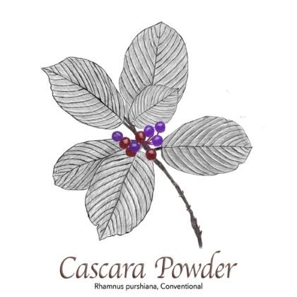 Cascara Powder Conventional - The Herb Temple