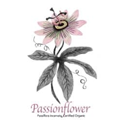 Passionflower Organic - The Herb Temple