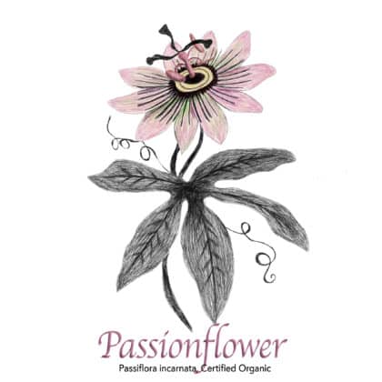 Passionflower Organic - The Herb Temple