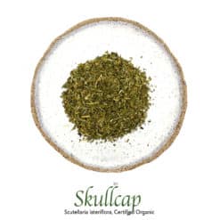 Skullcap Organic - The Herb Temple