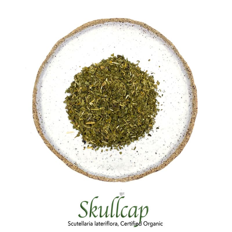 Skullcap Organic - The Herb Temple