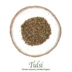 Tulsi - Holy Basil Organic - The Herb Temple