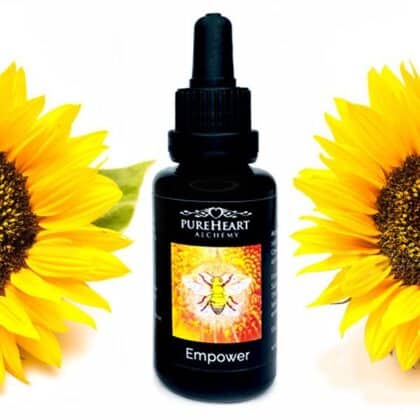 Empower Flower Essence ~ Solar Plexus Chakra - PureHeart Alchemy