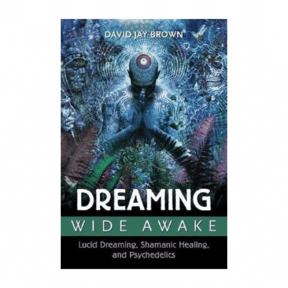 Dreaming Wide Awake