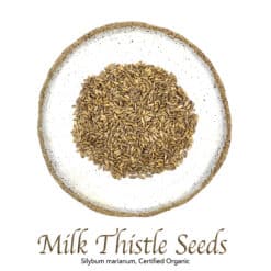 St Mary's Thistle Seed (Milk Thistle) Organic - The Herb Temple