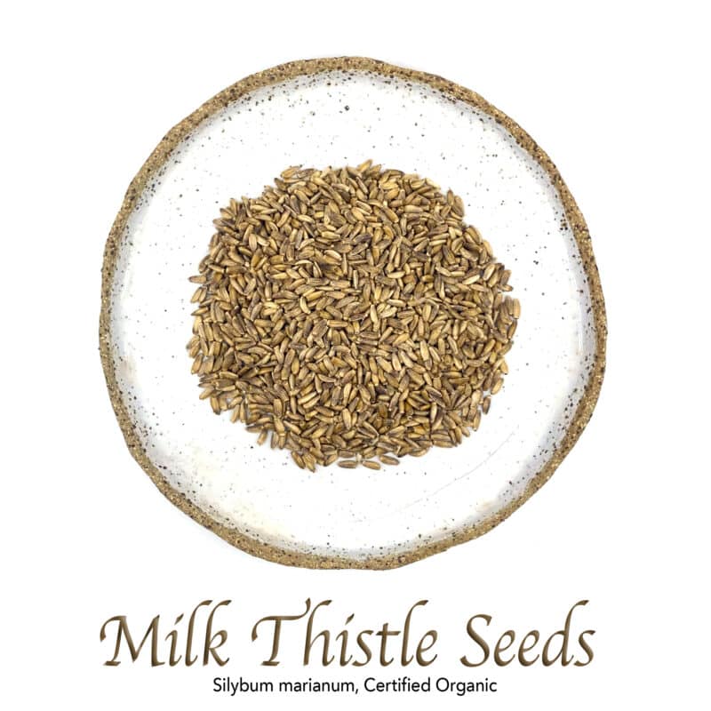 St Mary's Thistle Seed (Milk Thistle) Organic - The Herb Temple