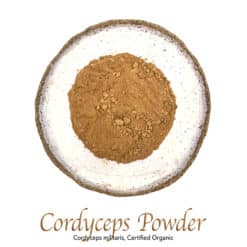 Cordyceps Powder Organic - The Herb Temple