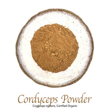 Cordyceps Powder Organic - The Herb Temple