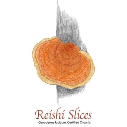 Reishi Slices Organic - The Herb Temple