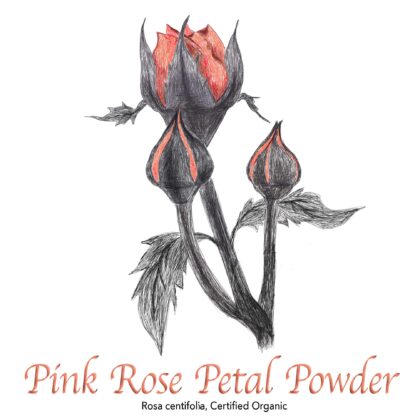 Pink Rose Petal Powder Organic - The Herb Temple