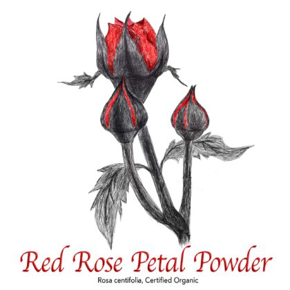 Red Rose Petal Powder Organic - The Herb Temple
