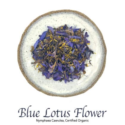 Blue Lotus Flower - The Herb Temple