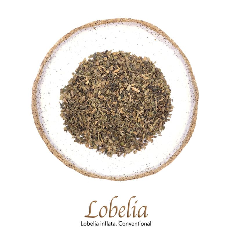 Lobelia Conventional - The Herb Temple