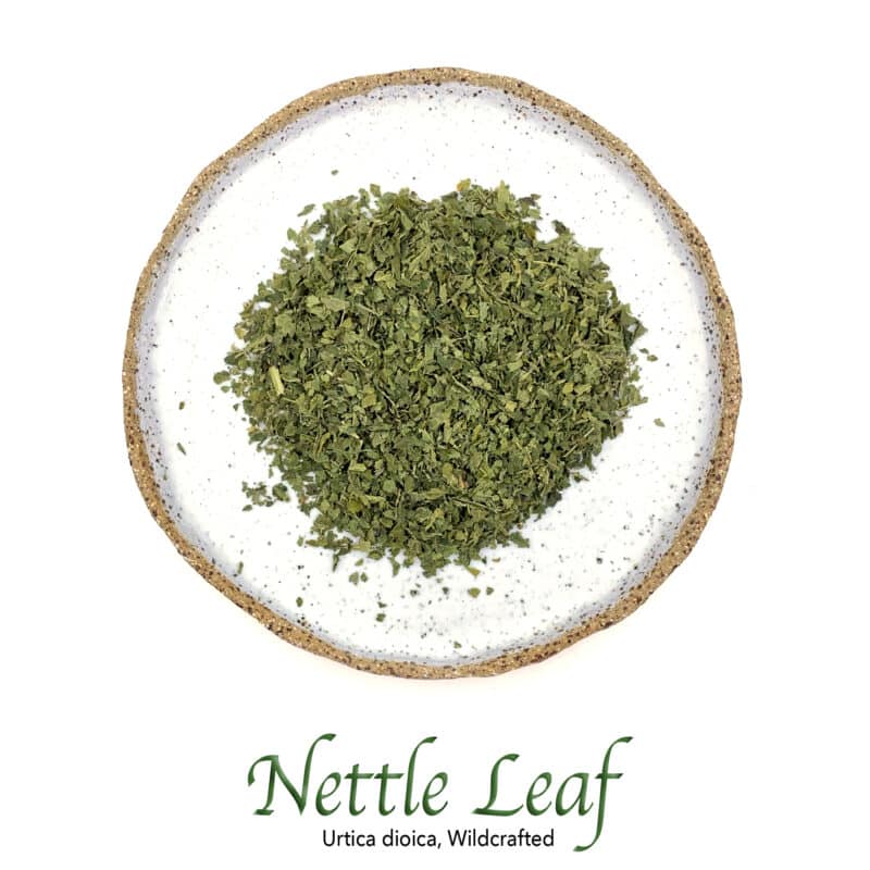 Nettle Leaf Wildcrafted - The Herb Temple