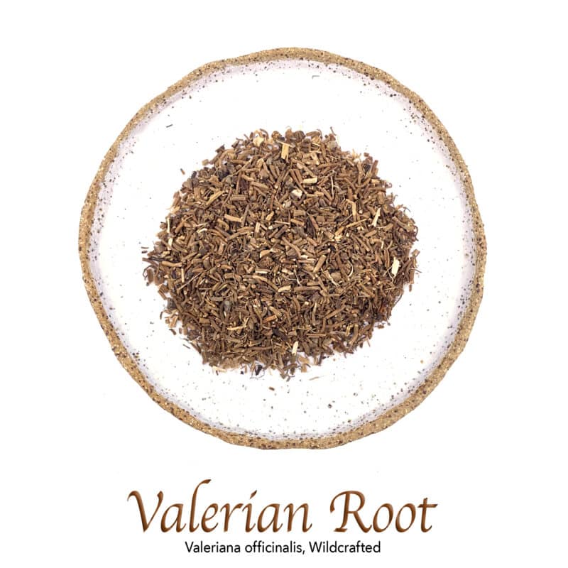 Valerian Root Wildcrafted - The Herb Temple