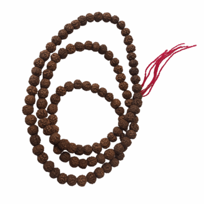 Mala Beads Rudraksha Seed