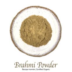 Brahmi Powder Organic - The Herb Temple