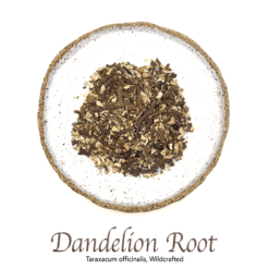 Dandelion Root Wildcrafted - The Herb Temple