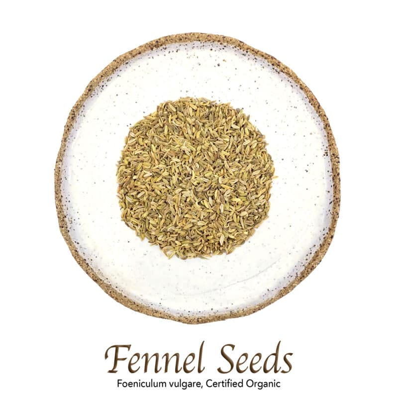 Fennel Seeds Organic - The Herb Temple