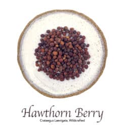Hawthorn Berry Wildcrafted - The Herb Temple