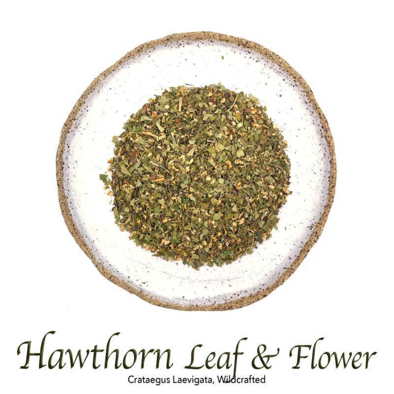 Hawthorn Leaf and Flower Wildcrafted - The Herb Temple