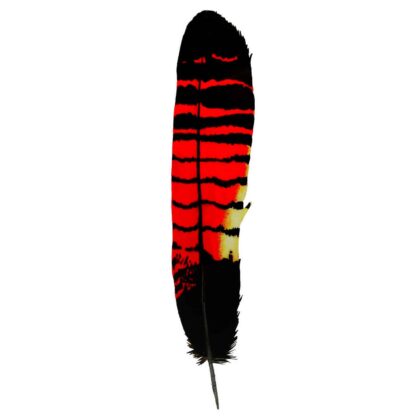 Cockatoo Feather Wantungaa Stickers