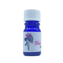 Blue Lotus Oil 5ml - The Herb Temple