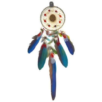 Ayahuasca Dream Catcher 5 Feathers