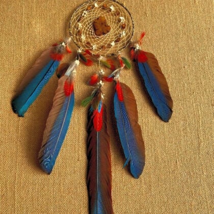 Ayahuasca Dream Catcher 5 Feathers