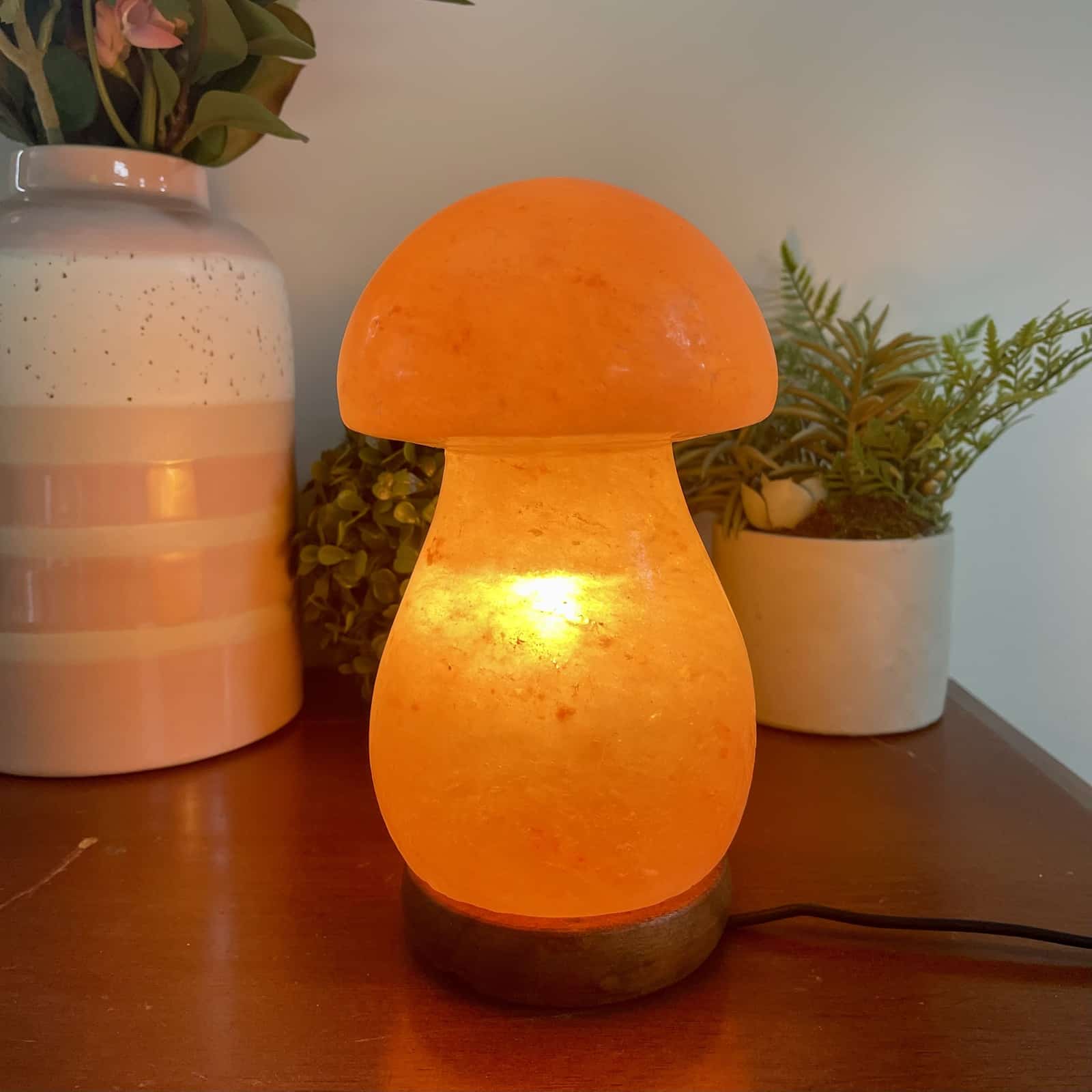 Mushroom salt lamp hotsell