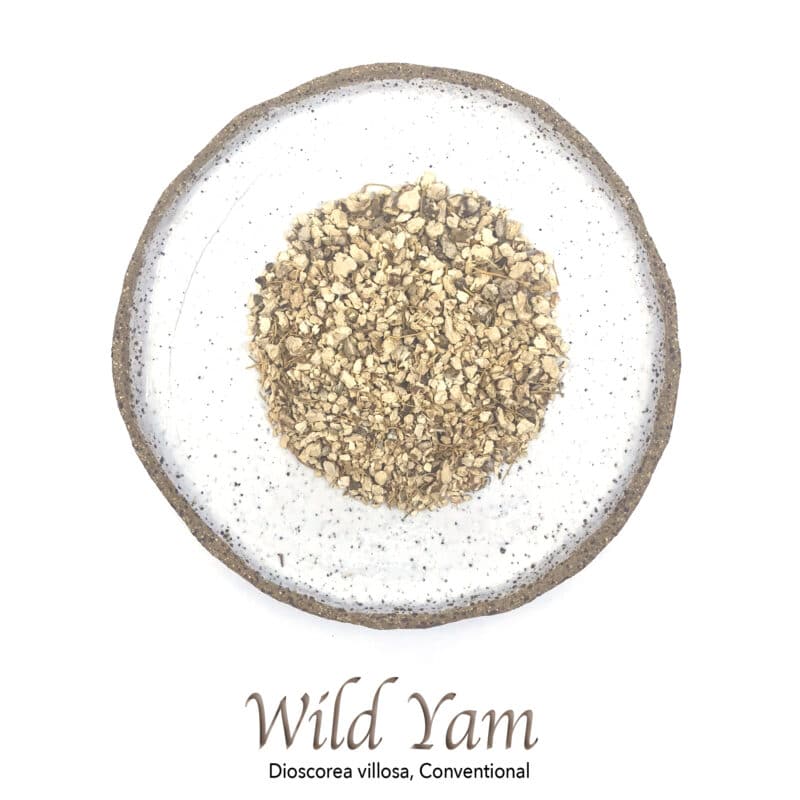 Wild Yam Conventional - The Herb Temple