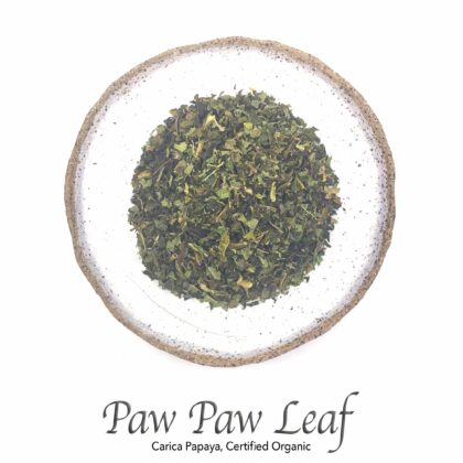 Paw Paw Leaf Organic - The Herb Temple