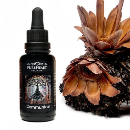 Communion Flower Essence ~ Earth Star Chakra 30ml - Pureheart Alchemy