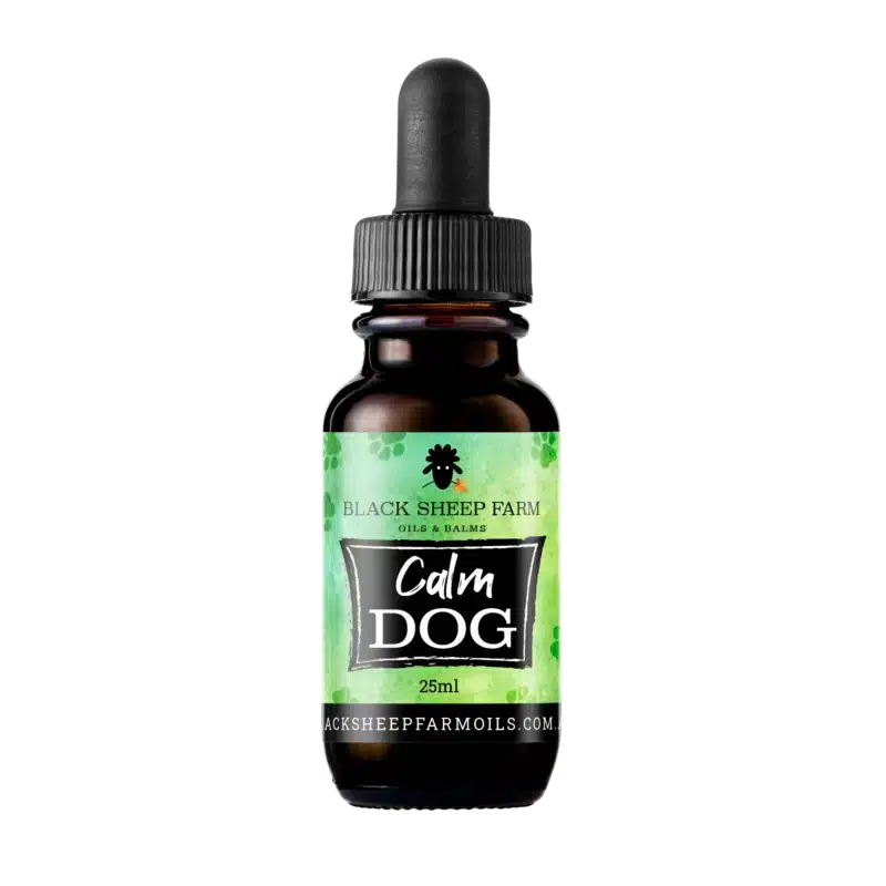 Calm Dog – Pet Hemp Oil 25ml - Black Sheep Farm