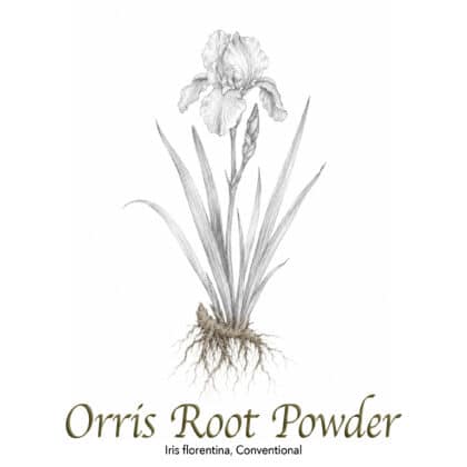 Orris Root Powder Conventional - The Herb Temple
