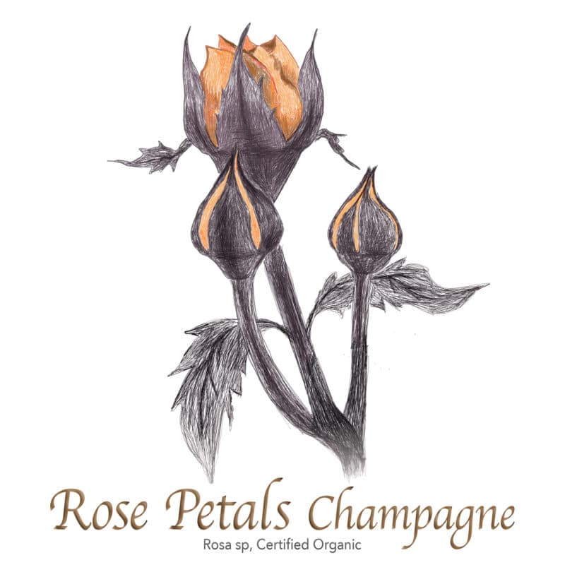 Rose Petals Champagne Organic - The Herb Temple