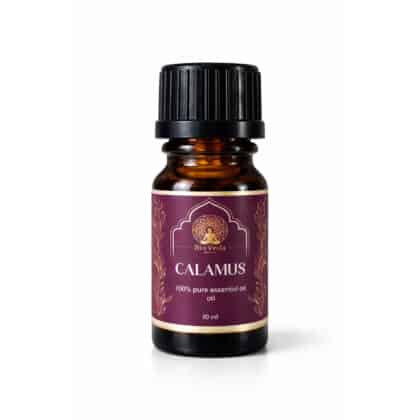 Calamus Essential Oil 20ml - BioVeda