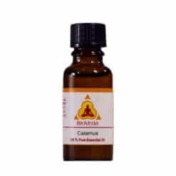 Calamus Essential Oil 20ml - BioVeda