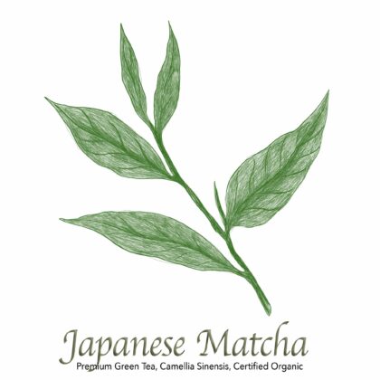 Japanese Matcha Premium Green Tea - The Herb Temple