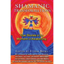 Shamanic Transformations: True Stories of the Moment of Awakening