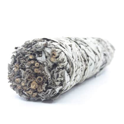 Californian White Sage JUMBO Smudge Stick
