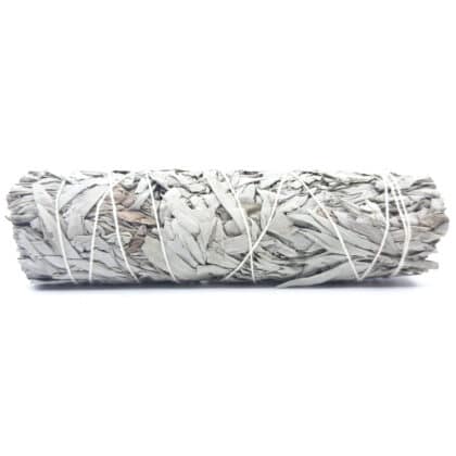 Californian White Sage JUMBO Smudge Stick