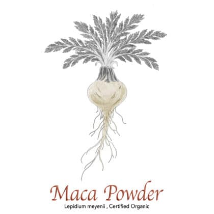 Maca Powder Organic - The Herb Temple