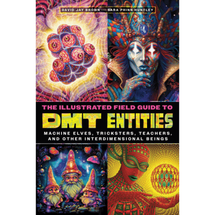 The Illustrated Field Guide to DMT Entities - Book Publishing Company