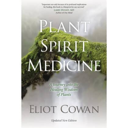 Plant Spirit Medicine